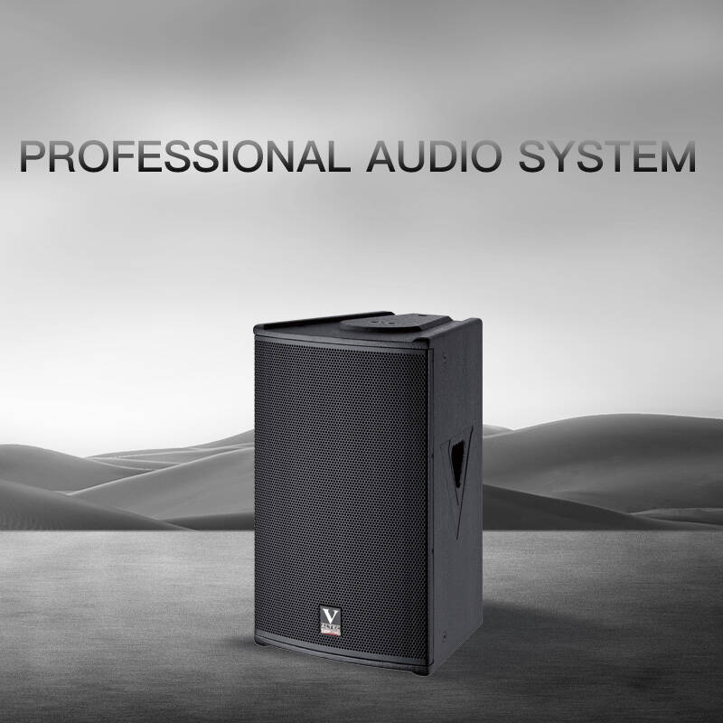 Professional Audio System